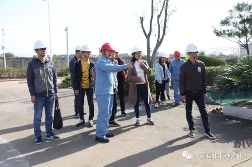 走綠色發(fā)展之路，樹環(huán)保標(biāo)桿企業(yè)——環(huán)境保護(hù)監(jiān)測(cè)的核心使命與實(shí)踐路徑